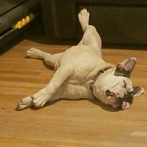 Meet your Posher, Luis